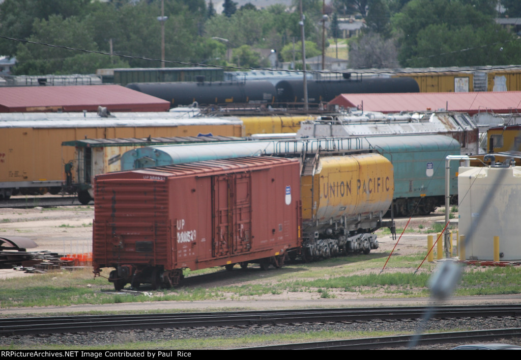 UP Yard Looking South West